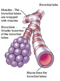 Asthma